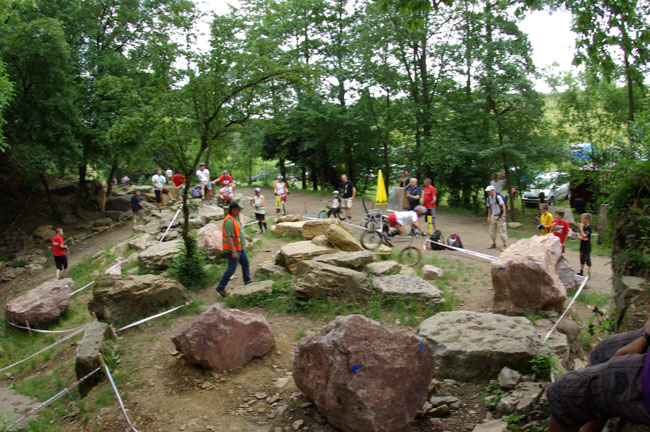 IMGP9973